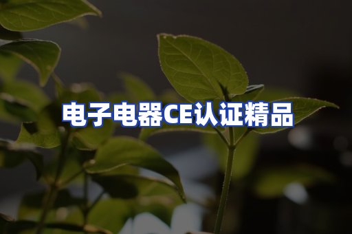 电子电器认证项目